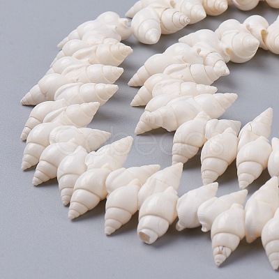 Natural Spiral Shell Beads Strands BSHE-I016-07-1
