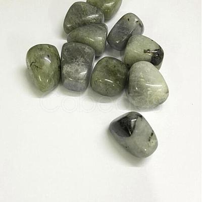 Natural Labradorite Beads G-K302-A09-1