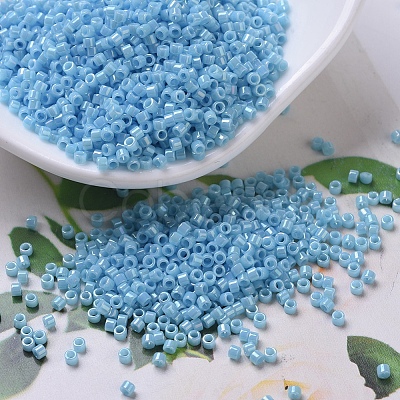 MIYUKI Delica Beads SEED-J020-DB0215-1