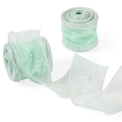 Polyester Deco Mesh Ribbons OCOR-TAC0024-004G-1