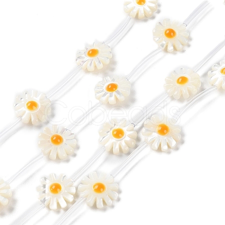 Natural Trochus Shell Beads Strands BSHE-E030-06A-1