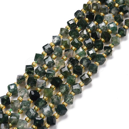 Natural Moss Agate Beads Strands G-P463-10-1