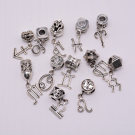 Tibetan Style Alloy Pendants Set PALLOY-WH0070-48P-1