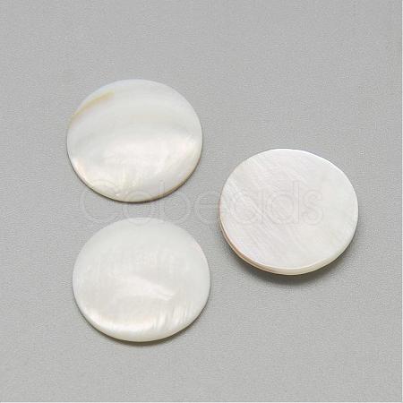 Natural Freshwater Shell Cabochons SSHEL-R042-08-1