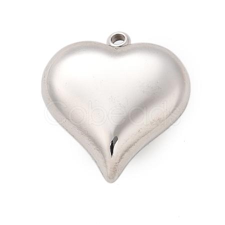 304 Stainless Steel Pendants STAS-Q349-02E-P-1