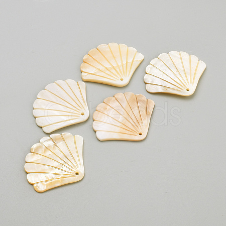 Freshwater Shell Pendants SHEL-Q008-90-1