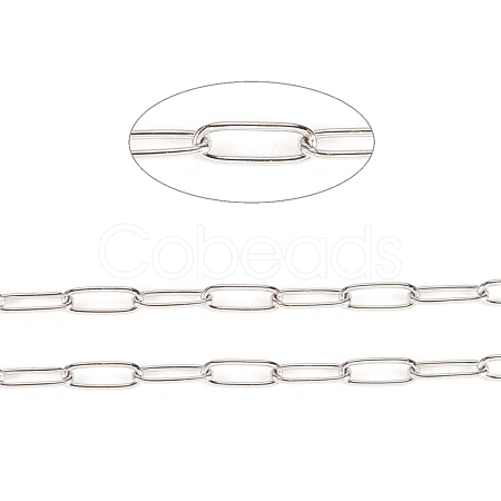 Tarnish Resistant 304 Stainless Steel Paperclip Chains CHS-F010-01E-P-1