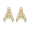 Alloy Pendants PALLOY-S137-001A-NR-2