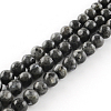 Natural Larvikite Round Beads Strands X-G-R342-8mm-09-1
