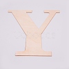 Unfinished Wood Shape WOOD-WH0109-01Y-2