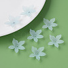 Transparent Acrylic Beads MACR-S373-127-D02-3