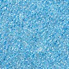 11/0 FGB Grade A Transparent Glass Seed Beads X-SEED-N001-E-321-2