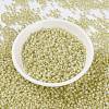 MIYUKI Round Rocailles Beads SEED-JP0009-RR0554-2