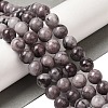 Natural Gemstone Beads Strands G-H067-A01-10MM-2