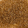 MIYUKI Delica Beads X-SEED-J020-DB0065-3