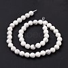 Natural Howlite Beads Strands G-E571-29B-5