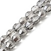 Electroplate Glass Beads Strands EGLA-L045-H-PL01-1