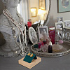3Pcs 1-Slot Rectangle Wood Earring Display Stands EDIS-DR0001-06-6
