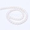 Natural Cultured Freshwater Pearl Beads Strands PEAR-R063-11-2
