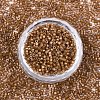 FGB 11/0 Grade A Baking Paint Glass Seed Beads SEED-S030-1146-3