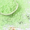 6/0 Luminous Glass Seed Beads X1-SEED-NH0001-01K-2