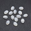 Shell Cabochons SSHEL-E567-25D-2