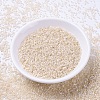 MIYUKI Delica Beads SEED-X0054-DB1874-2