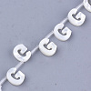 Natural Sea Shell Beads SHEL-T012-60G-2