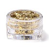 Foil Flakes X-DIY-E032-02B-4
