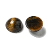 Natural Tiger Eye Cabochons G-Q173-01B-13-2