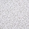 13/0 Glass Seed Beads SEED-T005-14A-A09-4