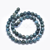 Natural Apatite Beads G-E481-05-10mm-2