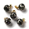 Natural Paua Shell Dyed Round Charms SSHEL-H071-01G-05-1