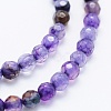 Natural Agate Beads Strands G-E469-12J-3