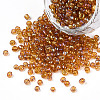 Round Glass Seed Beads SEED-A007-3mm-162C-1