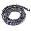 Natural Tanzanite Beads Strands G-G161-B14-01-3