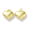Rack Plating Brass Pendants KK-Z039-32B-G-1
