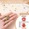Picasso Baking Paint Glass Seed Beads SEED-TA0001-62M-3