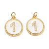 Brass Micro Pave Clear Cubic Zirconia Charms ZIRC-J040-44G-01-2