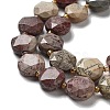 Natural America Picture Jasper Beads Strands G-NH0004-035-4