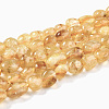Heated Natural Citrine Beads Strands G-G018-04-1