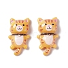 Opaque Resin Cabochons X-RESI-G031-22-2