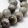 Natura Hawk's Eye Beads Strands G-D0001-22C-6mm-4