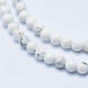 Natural Howlite Beads Strands G-P353-01-6mm-3