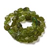Raw Rough Natural Peridot Beads Strands G-I283-G07-01-2