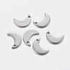 Tarnish Resistant 304 Stainless Steel Charms STAS-F159-40P-1