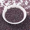 MIYUKI Round Rocailles Beads SEED-X0055-RR0302-2