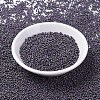 MIYUKI Round Rocailles Beads X-SEED-G007-RR2019-2