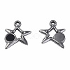 304 Stainless Steel Charms STAS-N087-51-04P-1