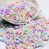 Macaron Color Opaque Frosted Glass Seed Beads X-SEED-K009-12B-01-2